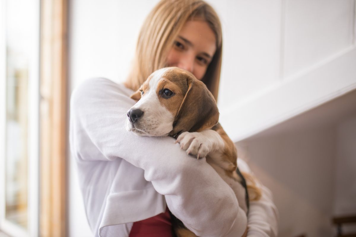 What Is the First Thing to Do When You Get a Puppy?