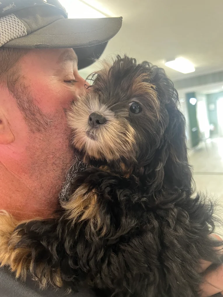 A black and tan puppy held by a person