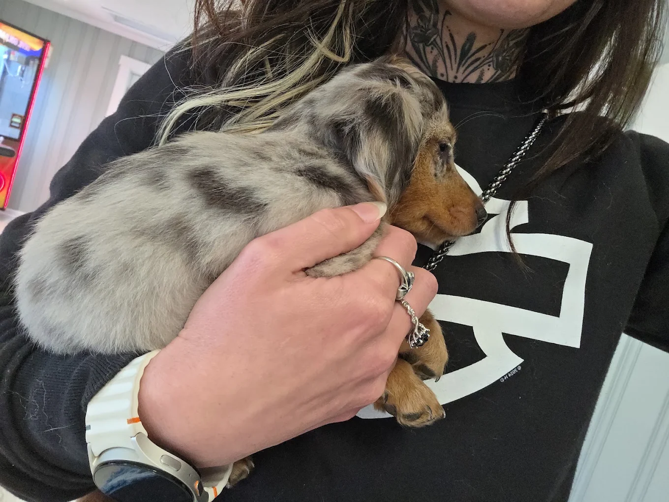 A Tiny Paws puppy being held close